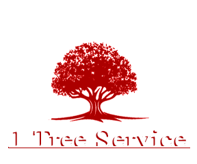 Glen Burnie Tree Removal Service